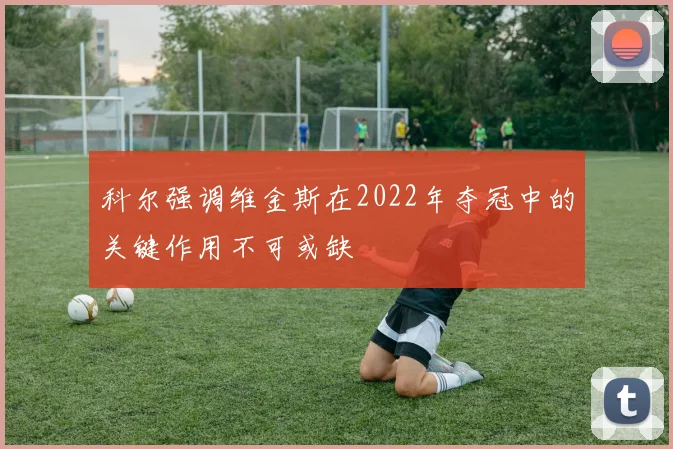 科尔强调维金斯在2022年夺冠中的关键作用不可或缺