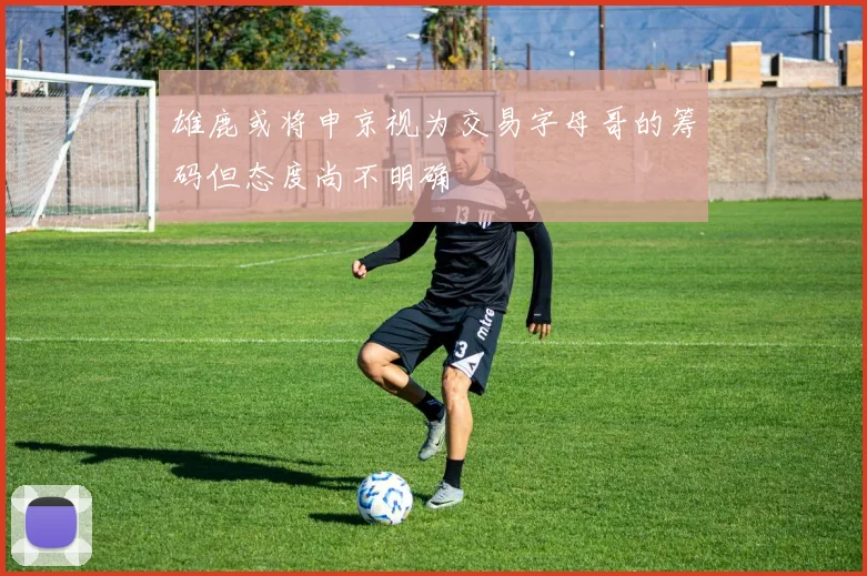 雄鹿或将申京视为交易字母哥的筹码但态度尚不明确